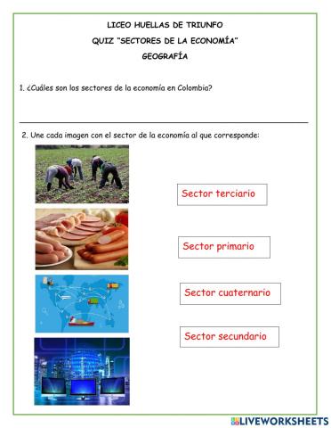 Sectores de la Economía