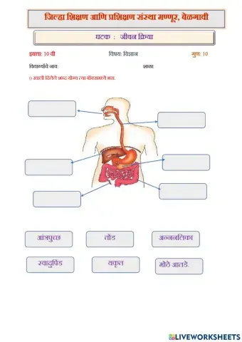 जीवन क्रिया