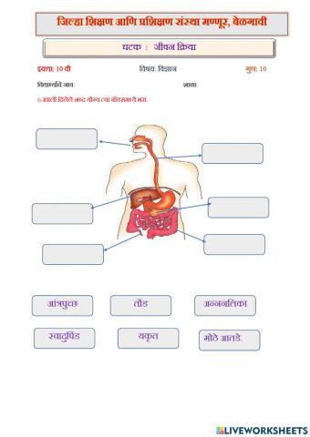 जीवन क्रिया