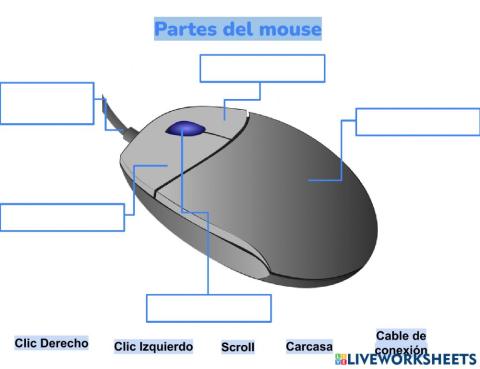 Partes del mouse
