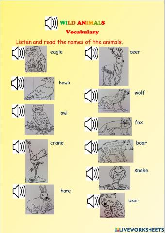Wild animals - vocabulary
