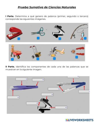 Prueba de Ciencias Naturales