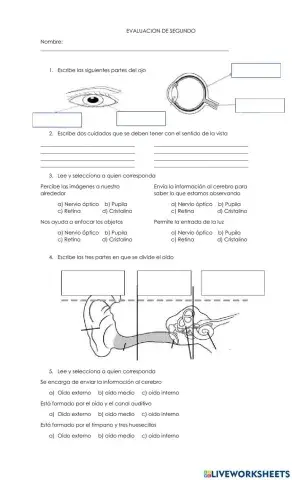 Sentidos de la vista y el oido
