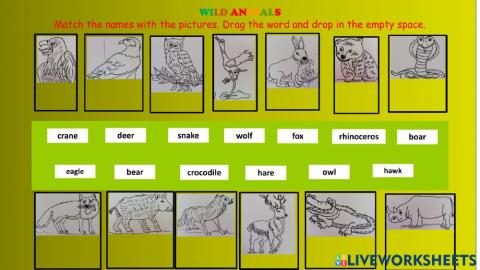 Wild animals - match the names with the pictures.