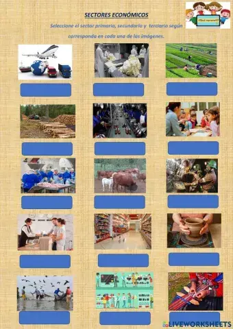 Sectores economicos