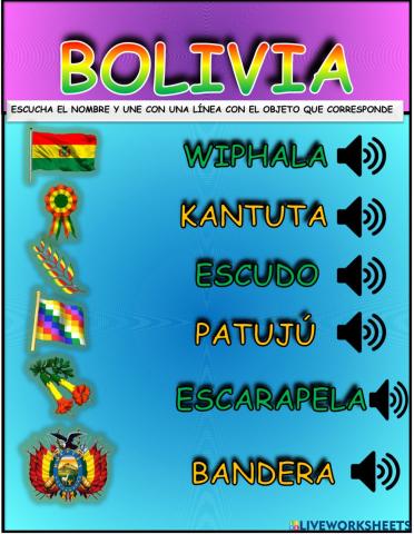 Ficha bolivia