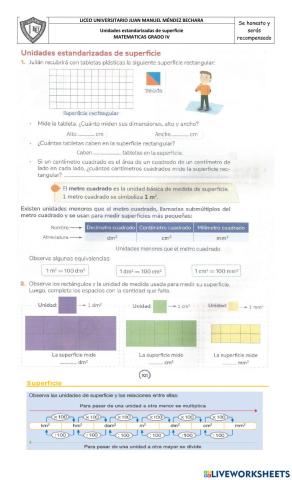Unidades estandarizadas de superficie