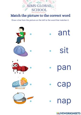 Match picture to the word