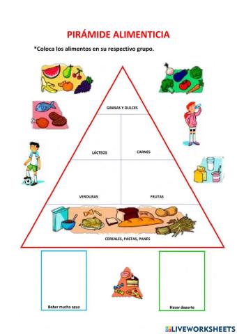 Piramide alimenticia