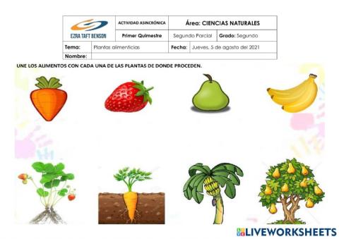 Plantas alimenticias
