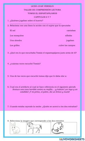 Tomas espantapajaros taller 4