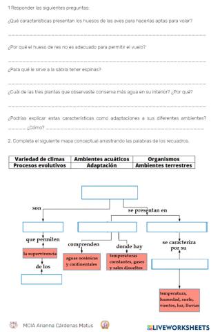 Actividades adaptación