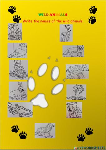 Wild animals - write the names.