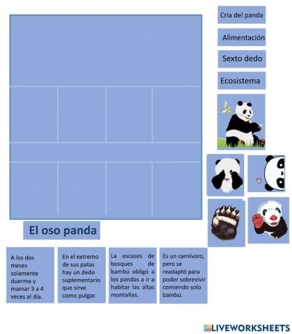 Infografía panda