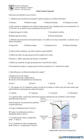 Mecanismos de transporte en la membrana plasmática