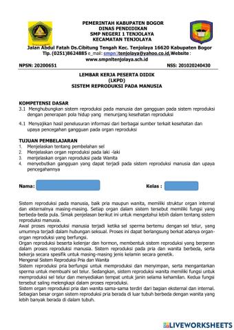 Sistem Reproduksi Manusia