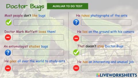 Auxiliar to do test -Doctor Bugs-