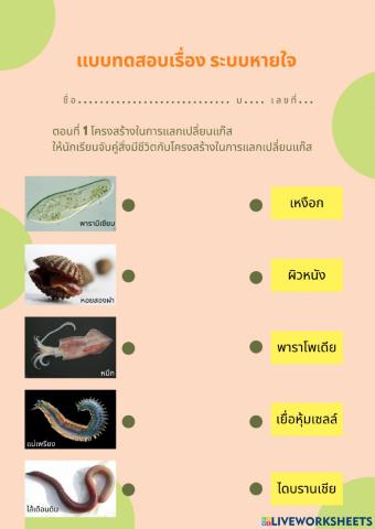 ระบบหายใจ