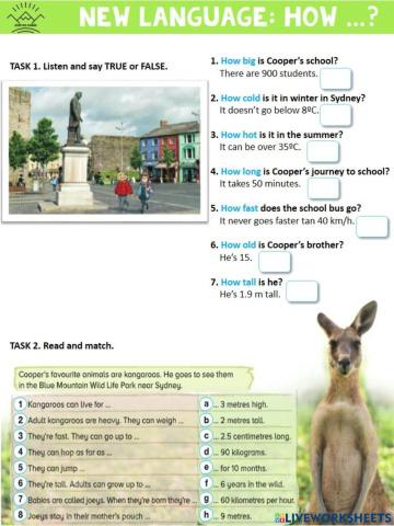 Unit 3 - New Language