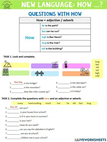 Unit 3 - New Language II