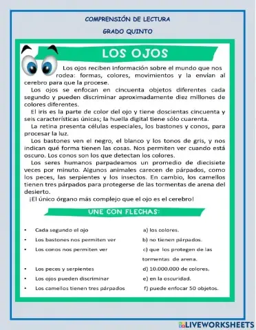 Comprensión de lectura