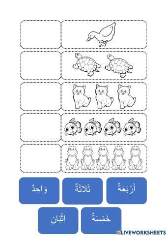 Arabic number 1-5
