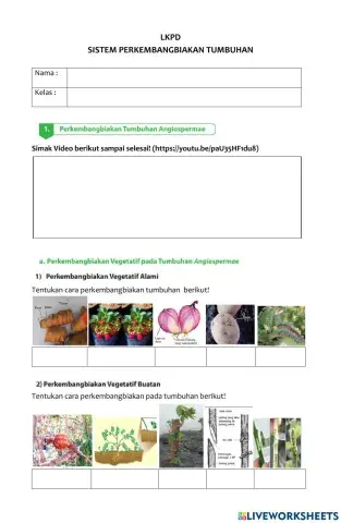 LKPD Perkembangbiakan Tumbuhan Part 1 SMP Kelas 9