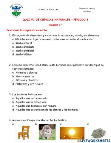 Quiz 1 cn 2° - p3