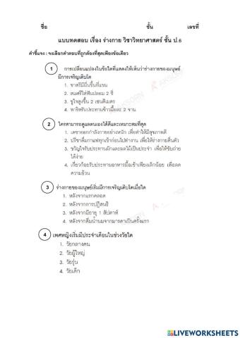 ร่างกาย ป.6
