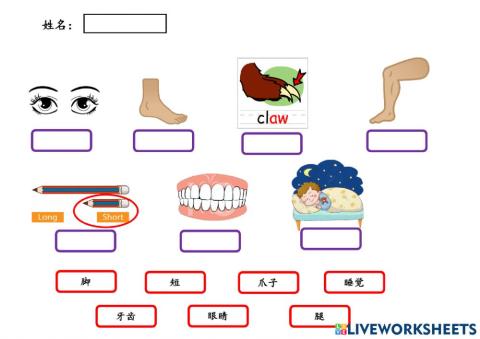《鼠老师画猫》评估