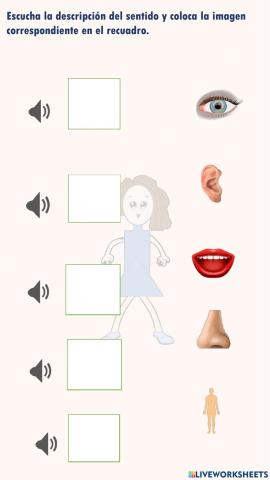 Escucha la descripción del sentido y coloca cada imagen en el recuadro que corresponde.