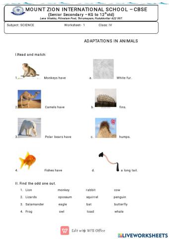 Adaptations in animals