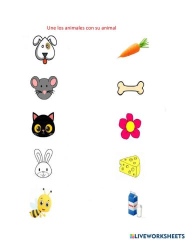 Hoja de trabajo de los animales