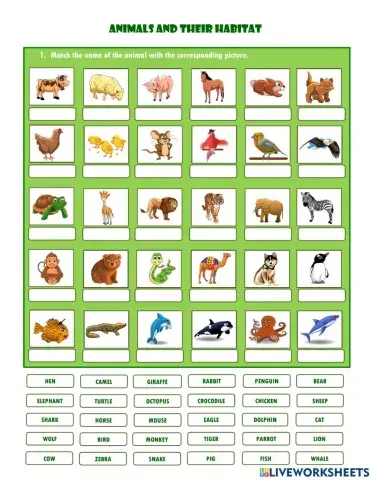 Animals and their habitat