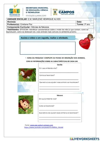 Animais e suas características (ef03ci04)