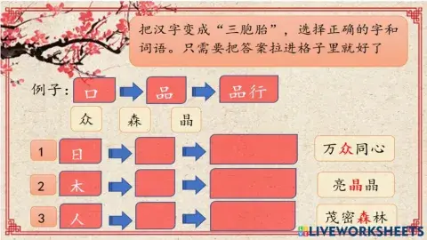 三年级华文第十三单元 词语练习