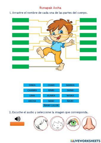 Partes del cuerpo - kichwa