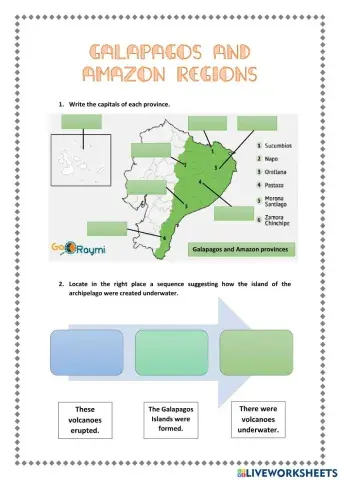 Amazon and Insular Region