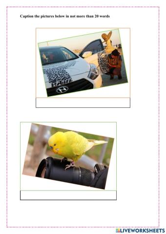 Form 3 Unit 8 Reading