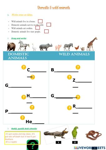Wild and domestic animals