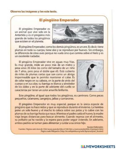 El Pingüino Emperador