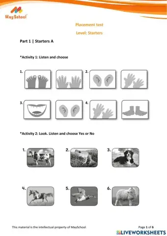 MS Placement test - Starters