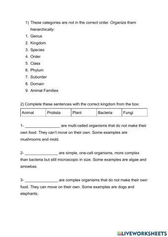 Animal Classification Worksheet