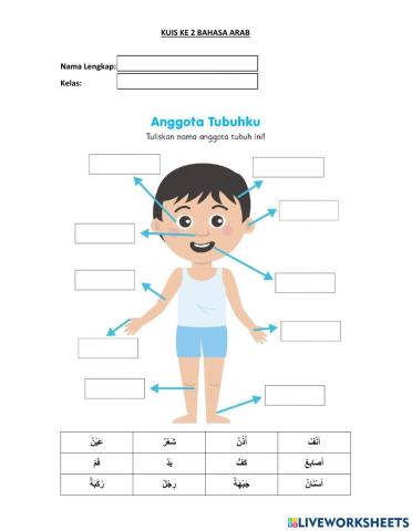 Anggota Tubuh (أعضاء الجسم)