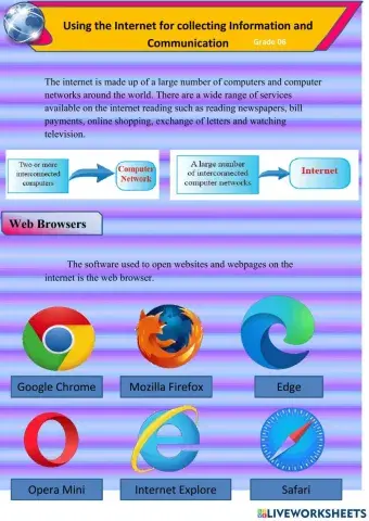 Using the Internet for collecting Information and Communication