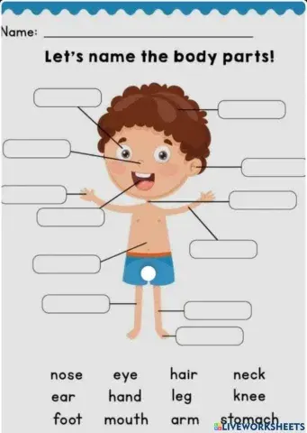 Unit 6: Part of the body