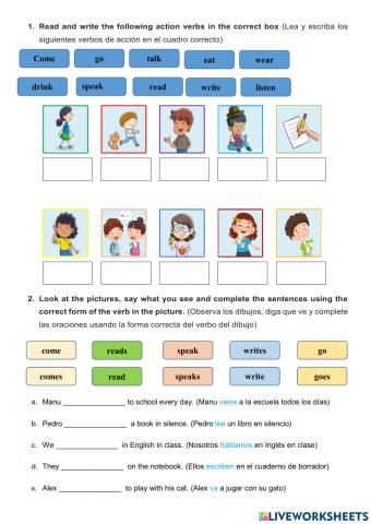 Verbs and Present Simple Tense