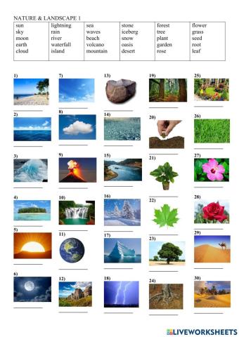 Nature and landscape