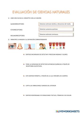 Evaluacion naturales