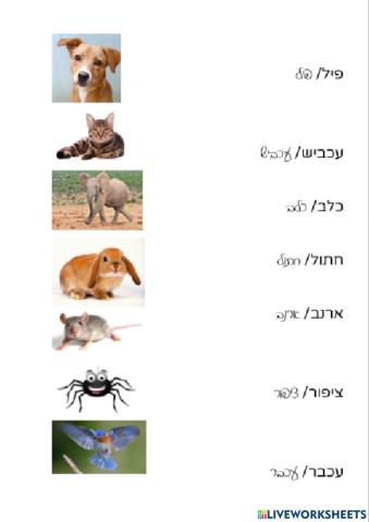 חיות בעברית
